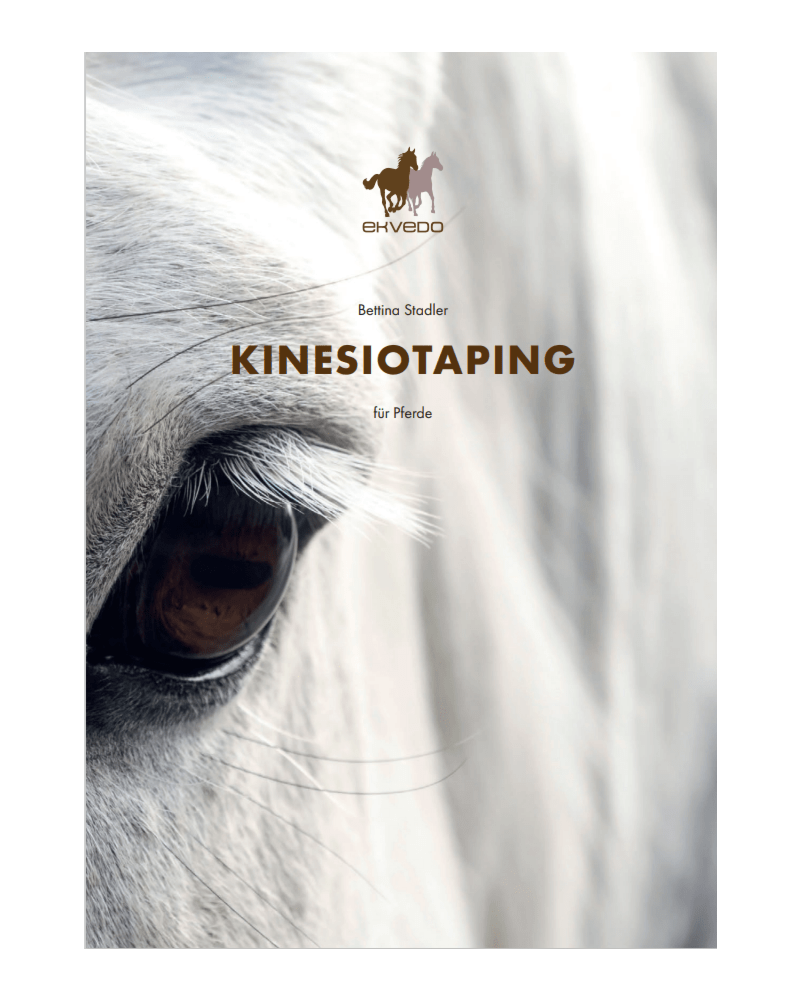Buch Kinesiotaping
